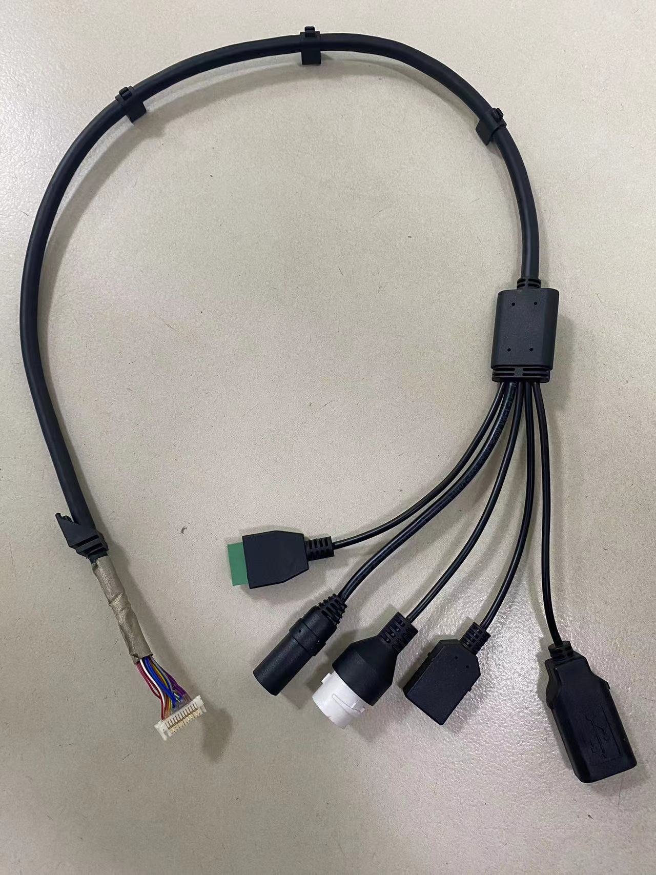 Multi-branch cable harness for automotive electronics